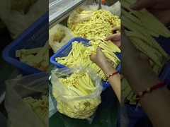 Anéis O de borracha de silicone personalizados para temperaturas extremas (-30,0 oC a 230,0 oC)