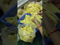 Peças de borracha de silicone